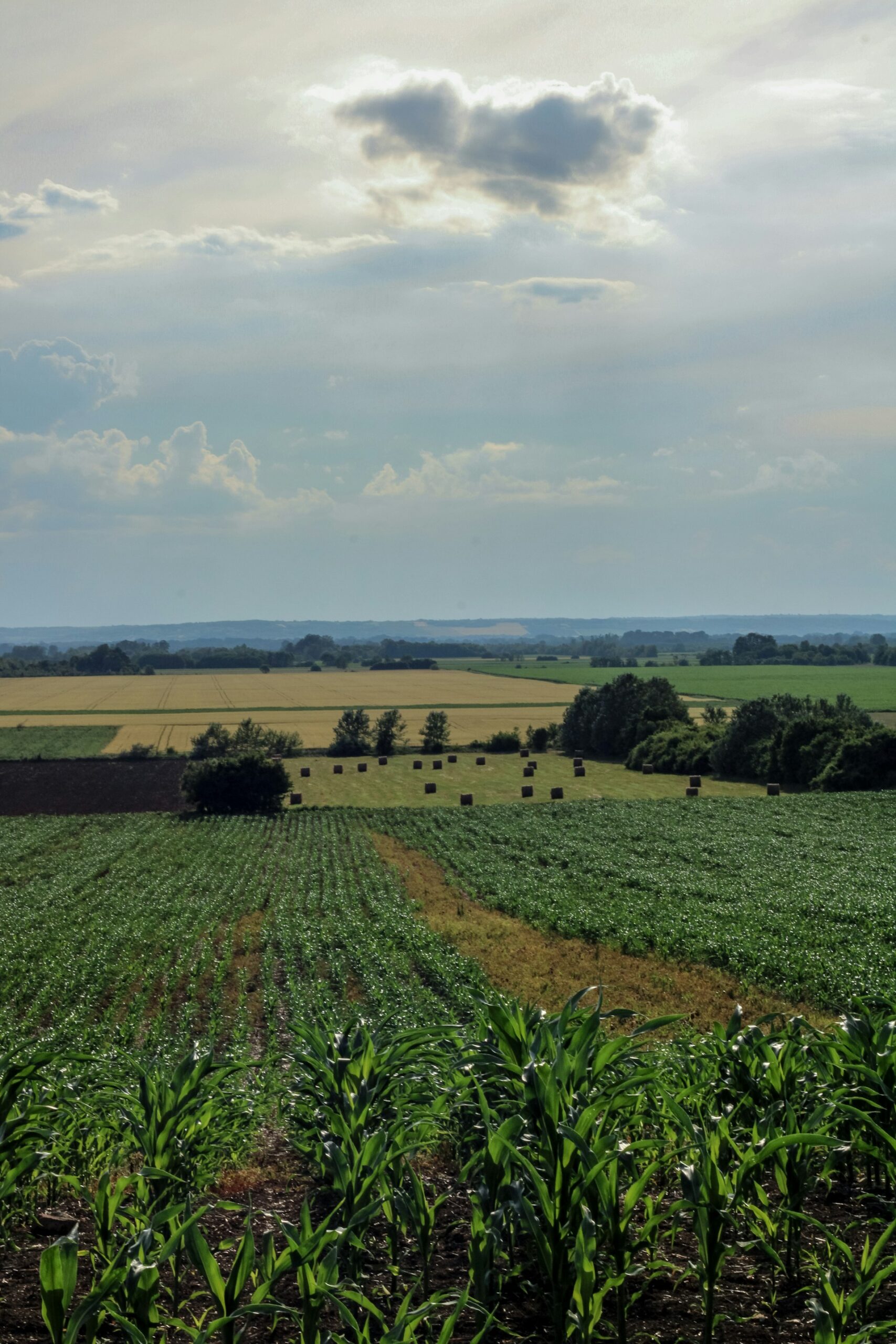 smiljana peters 0lr3tn2uVQg unsplash scaled